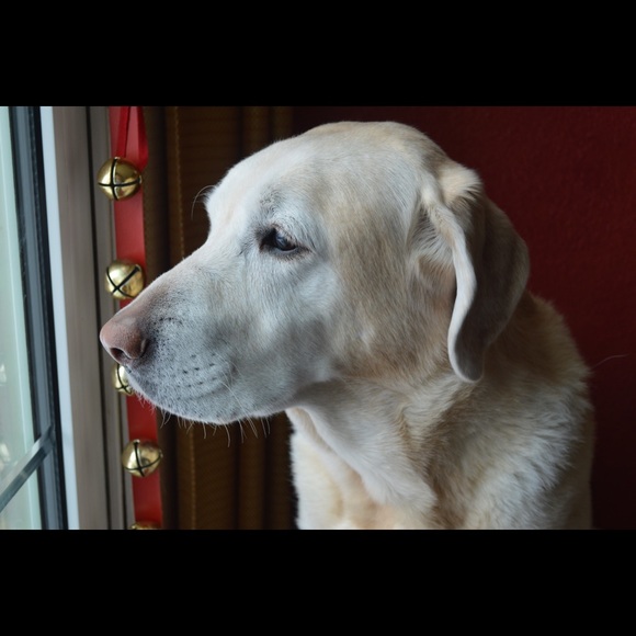Meet your Posher, Colleen - Picture 1 of 1